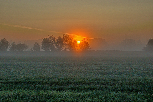 nebel-kopie-copy-20250619-064531.jpg